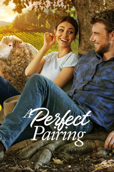 Bộ Đôi Hoàn Mỹ - A Perfect Pairing (2022)