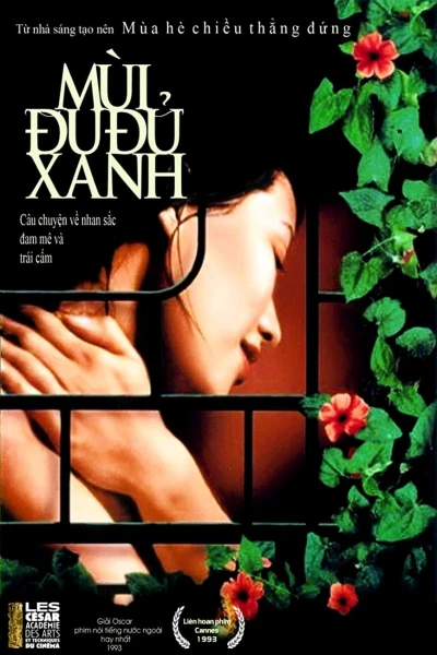 Mùi Đu Đủ Xanh - The Scent of Green Papaya (1993)