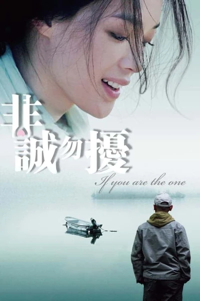 Nếu Em Là Người Tình - If You Are The One (2008)